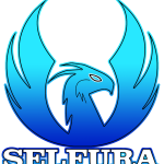Logo Selfura en Gros