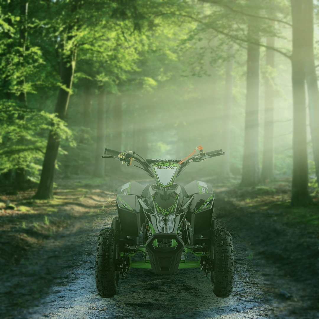création graphique Quad dans une Forêt